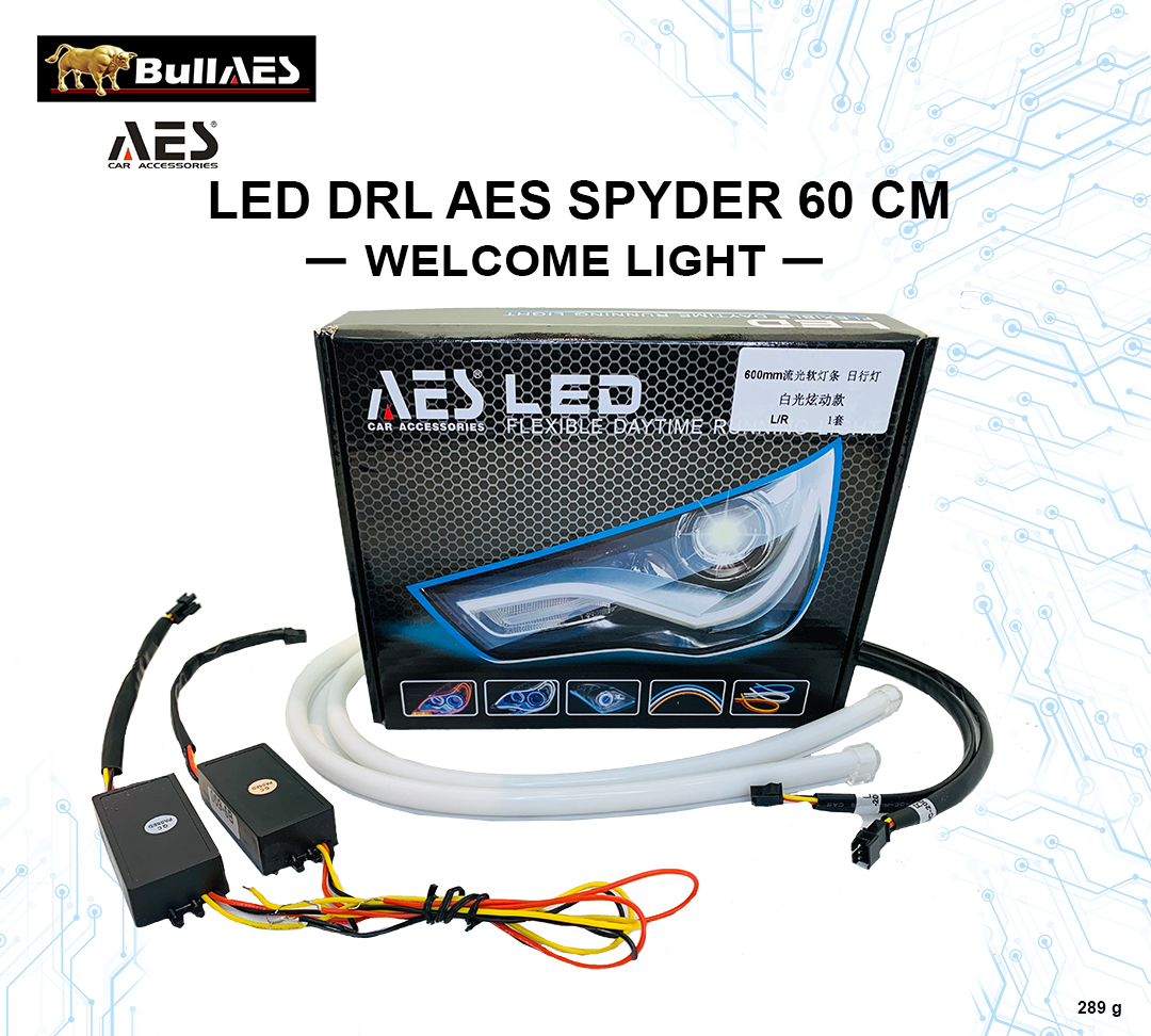 Drl AES 60 cm Spyder welcome Light - AES